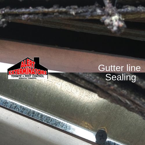 Gap at a gutter line before sealing (top) and the same gutter line after metal flashing was installed (bottom)