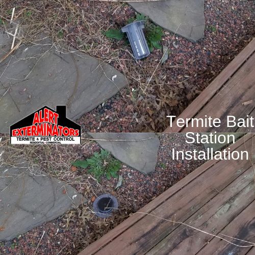 A termite bait station before it was set (top) and installed flush in the ground beside a wooden deck (bottom)